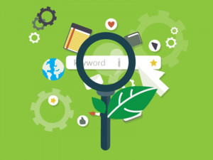 Read more about the article SEO & Site Submission