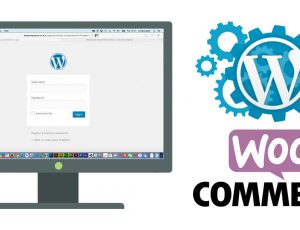 WordPress & Woocommerce Training