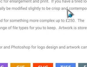 Custom Pointer for your WordPress Site