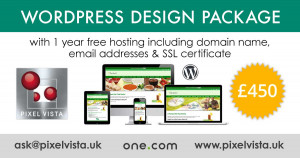 Read more about the article WP Startup Site Design Package