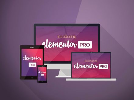 Elementor Page Builder Pro Version