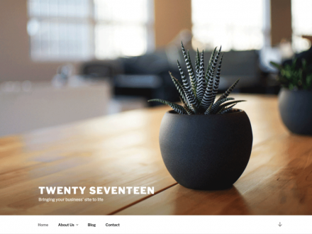 Twenty Seventeen Free Theme