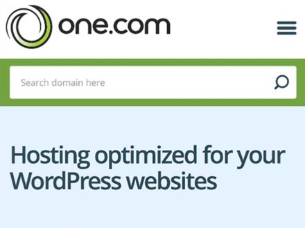 One.Com 1 Year WordPress Hosting (Business Plan)