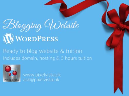 Complete Blogging Site Plus Three Hours Training