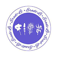 Layhe & Co Logo
