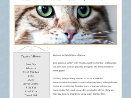 Cats Whiskers Site Design